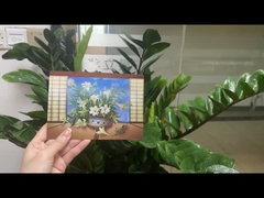 Impressão de cartão postal lenticular Toucan Animais selvagens Cartão postal 3D Para Pacote de zoológico