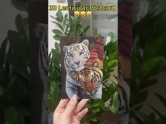 Os girassóis de Van Gogh Cartões postais lenticulares 3D para a galeria de arte do museu