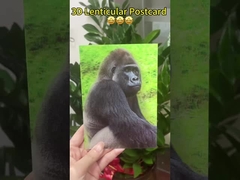 Mudança de imagens 3D Cartão de aniversário Cartão de casamento de aniversário Impressão 3D imagens