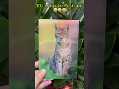 Os girassóis de Van Gogh Cartões postais lenticulares 3D para a galeria de arte do museu