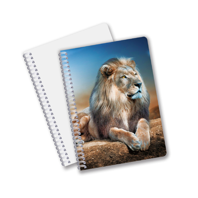 Atacado 3D Effect 3D Lenticular Printing Notebook Hardcover Spiral Bound Notebook Notebook Perforado Notebook para Crianças