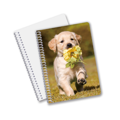 Atacado 3D Effect 3D Lenticular Printing Notebook Hardcover Spiral Bound Notebook Notebook Perforado Notebook para Crianças