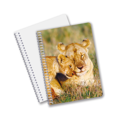 Uso Diário Boa Qualidade Feita na China Eco-Friendly PET Folhas Personalizadas Duráveis 3D Lenticular Espiral Notebook