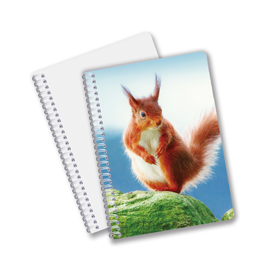 Uso Diário Boa Qualidade Feita na China Eco-Friendly PET Folhas Personalizadas Duráveis 3D Lenticular Espiral Notebook