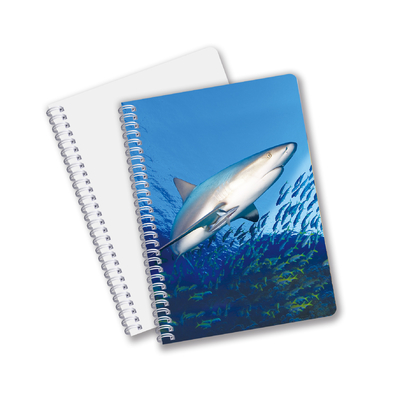 Uso Diário Boa Qualidade Feita na China Eco-Friendly PET Folhas Personalizadas Duráveis 3D Lenticular Espiral Notebook