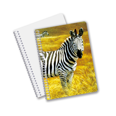 Comércio a retalho de cadernos de impressão CMYK 3D em espiral PET de tamanho A6 A5 A4 para trabalho de escritório
