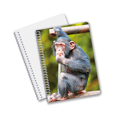 Factory Custom B5 A5 A6 Impressão 3D Lenticular Notebook Cute Espiral Notebook Estudante