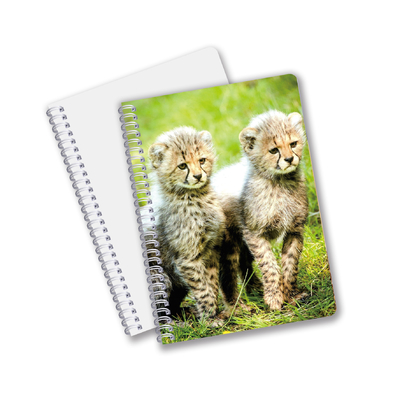 Factory Custom B5 A5 A6 Impressão 3D Lenticular Notebook Cute Espiral Notebook Estudante