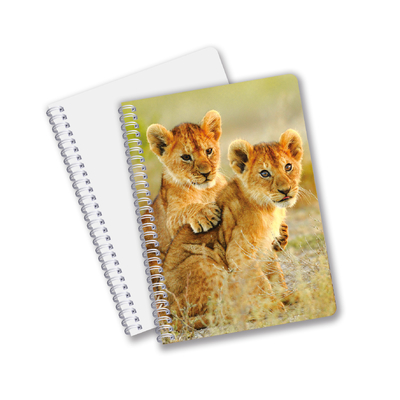 Factory Custom B5 A5 A6 Impressão 3D Lenticular Notebook Cute Espiral Notebook Estudante