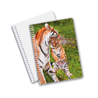 Papeleria Escolar 3D Lenticular Publicidade Personalizado Notebooks Espiral para Crianças Promoção presente
