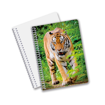 China Factory 3D Lenticular Custom offset Impresso PET A3/A4/A5/A6 Notebooks