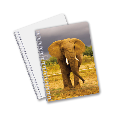 China Produtos de baixo preço Impressão lenticular 3D personalizada Flores Animais Caixa de papel de capa dura Notebook reutilizável com logotipo