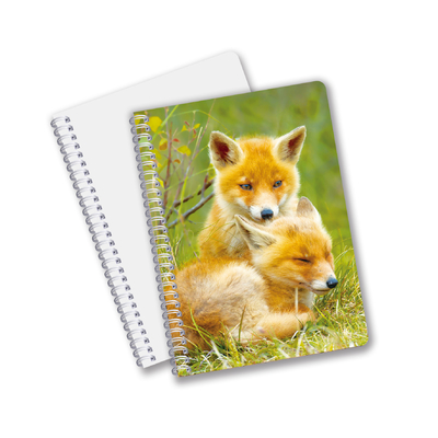 China Produtos de baixo preço Impressão lenticular 3D personalizada Flores Animais Caixa de papel de capa dura Notebook reutilizável com logotipo
