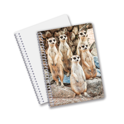 China Factory 3D Lenticular Custom offset Impresso PET A3/A4/A5/A6 Notebooks