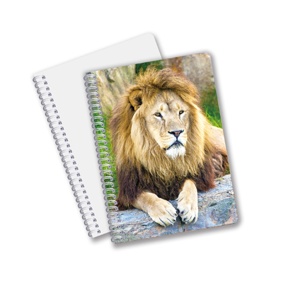 China Factory 3D Lenticular Custom offset Impresso PET A3/A4/A5/A6 Notebooks