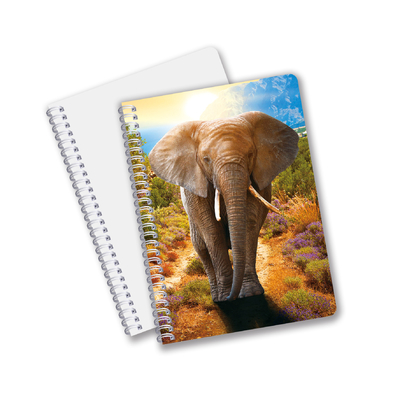 China Factory 3D Lenticular Custom offset Impresso PET A3/A4/A5/A6 Notebooks