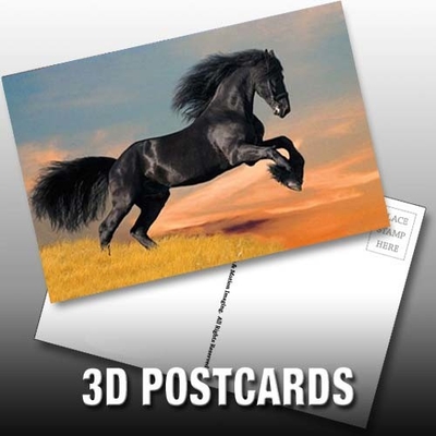 Flip Effect Cartão postal lenticular 3D Cachorros e gatinhos bonitos Design