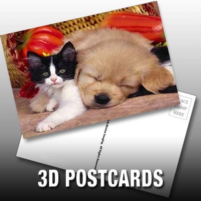 Flip Effect Cartão postal lenticular 3D Cachorros e gatinhos bonitos Design