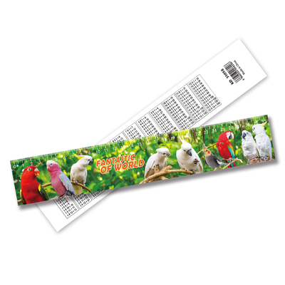 Gráfico de Impressão Lenticular 3D Regra de Plástico Regra de Impressão Lenticular Aceitar Design de Tamanho Personalizado