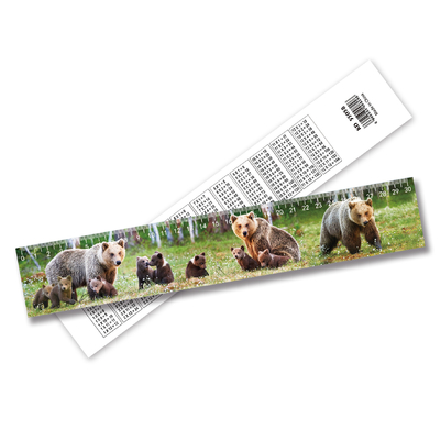 Novas tendências de alta qualidade barata 3D Lenticular Ruler 3D Ruler de irregularidade de imagem por 3D Ruler fornecedor