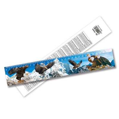Estudantes de escola Crianças Regras impressas personalizadas Papeleria 3D Regra lenticular