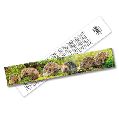 Regrador Lenticular 3D personalizado de alta qualidade por atacado