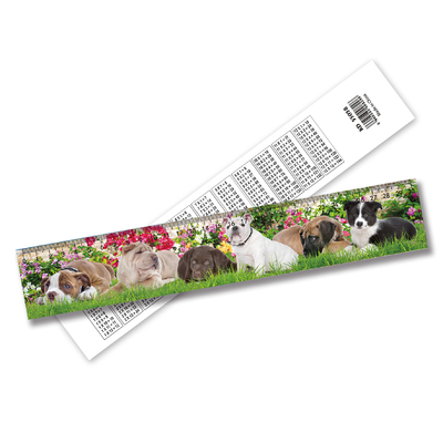 Lenticular 3D Ruler PET personalizável Decorações para casa com efeito de animação 3D