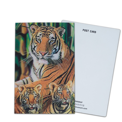 Opções de participação e doação Cartão 3D com impressão lenticular