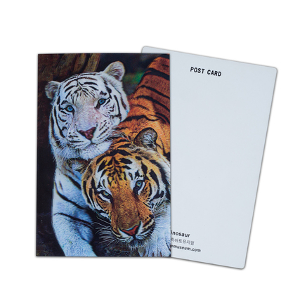 Opções de participação e doação Cartão 3D com impressão lenticular