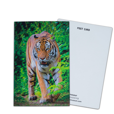 Opções de participação e doação Cartão 3D com impressão lenticular
