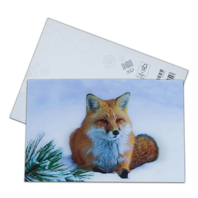 Urso Marrom no Alasca Cartão Lenticular Souvenir Cartão de Presente Para Turistas Cartões Postais 3D