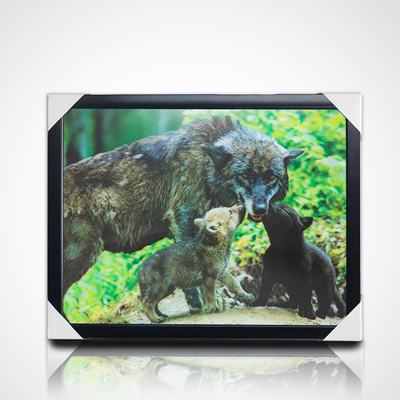 Pintura 3D Lenticular com Quadro Negro 40*30cm PET 5D 3D Quadros de Imagens Lenticulares Obra de Arte Imagens Modernas