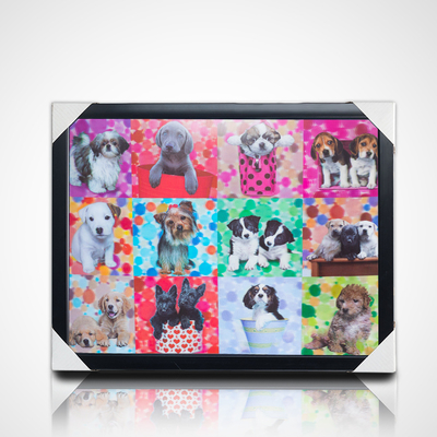 Pintura 3D Lenticular com Quadro Negro 40*30cm PET 5D 3D Quadros de Imagens Lenticulares Obra de Arte Imagens Modernas