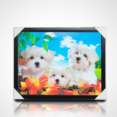 Customizado 30 * 40 cm Anime japonês Pintura Anime Imagens 3D Pôster Lenticular Pôster de Anime para Decorações de Parede