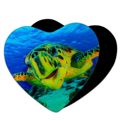 3D Magnets Sealifes Dolphin Shark Turtle Cartão de Impressão Lenticular Para Presentes