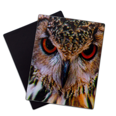 Lobo Coruja Animais Selvagens Ímãs 3D Lenticular Ímã 3D Frigorífico Para Turistas