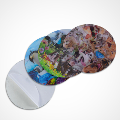 Adesivo de lente lenticular 3D / adesivo de impressão lenticular / personalize adesivo de movimento de anime 3D
