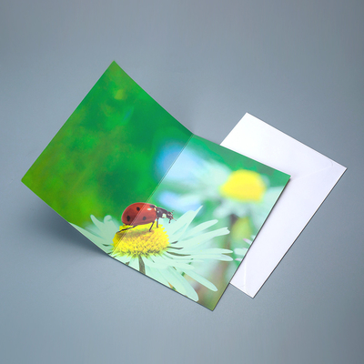 Cartão Lenticular de Impressão 3D de alta qualidade