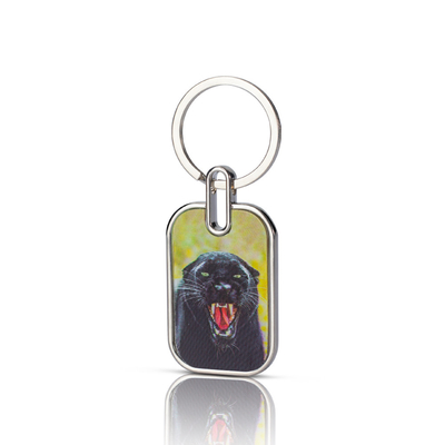 Grátis Impressão personalizada Chain Key Cut Clear Double Side Acrylic Board Key Holder Made in China Metal de aço inoxidável