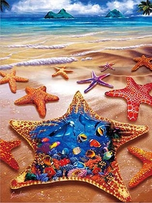 Sealifes Dolphin Turtle Shark Lenticular 3D Motion Card Souvenir Cartão de presente