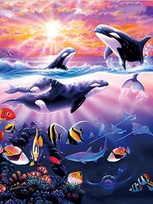 Sealifes Dolphin Turtle Shark Lenticular 3D Motion Card Souvenir Cartão de presente
