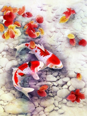 Sealifes Dolphin Turtle Shark Lenticular 3D Motion Card Souvenir Cartão de presente