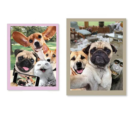 Novos Produtos Cartões de Saudação Holográficos 3D Com Série de Animais Interessantes