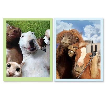 Novos Produtos Cartões de Saudação Holográficos 3D Com Série de Animais Interessantes