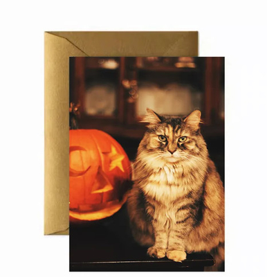 Alta qualidade 3D Lenticular Anime estilo de luxo moldagem Corte de papel pessoal de negócios Cartão de Saudação Lenticular