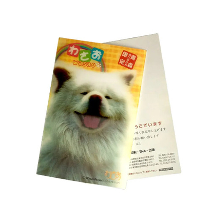 Novo estilo Impressão 3D Lenticular Folha Lenticular Cartão de Saudação Lenticular