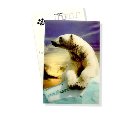 Novo estilo Impressão 3D Lenticular Folha Lenticular Cartão de Saudação Lenticular