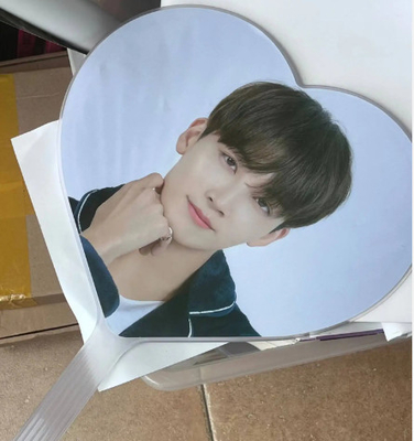 Ventilador de evento KPop personalizado para presente Ventilador de plástico PET transparente 3D personalizado