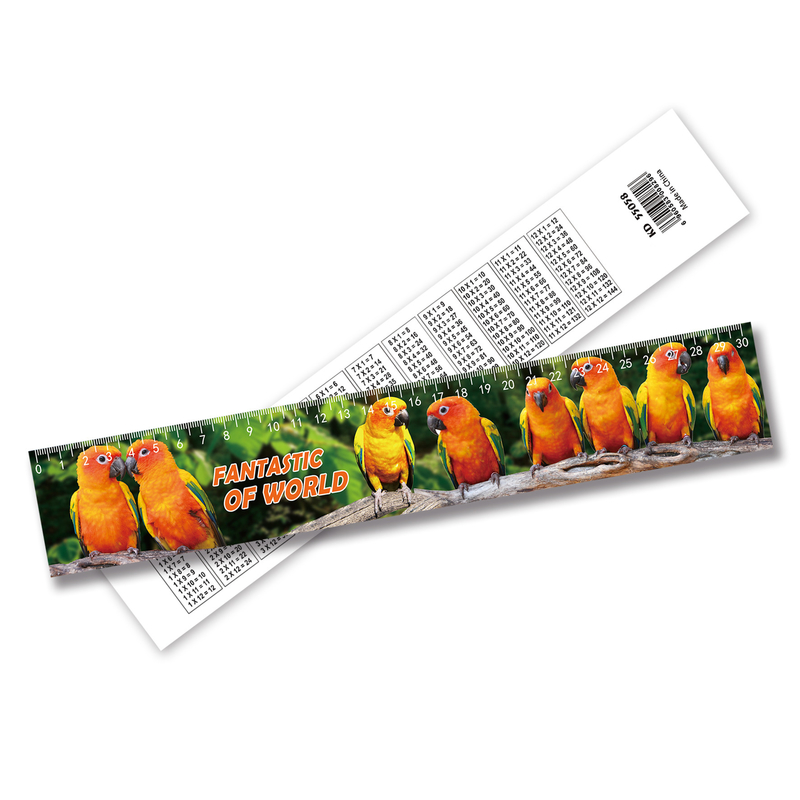 Gráfico de Impressão Lenticular 3D Regra de Plástico Regra de Impressão Lenticular Aceitar Design de Tamanho Personalizado