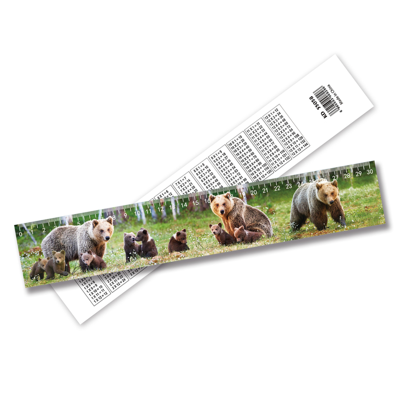 Novas tendências de alta qualidade barata 3D Lenticular Ruler 3D Ruler de irregularidade de imagem por 3D Ruler fornecedor